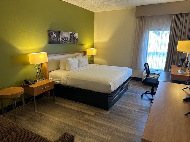 WhatsApp Image 2026-02-25 at 19.57.48